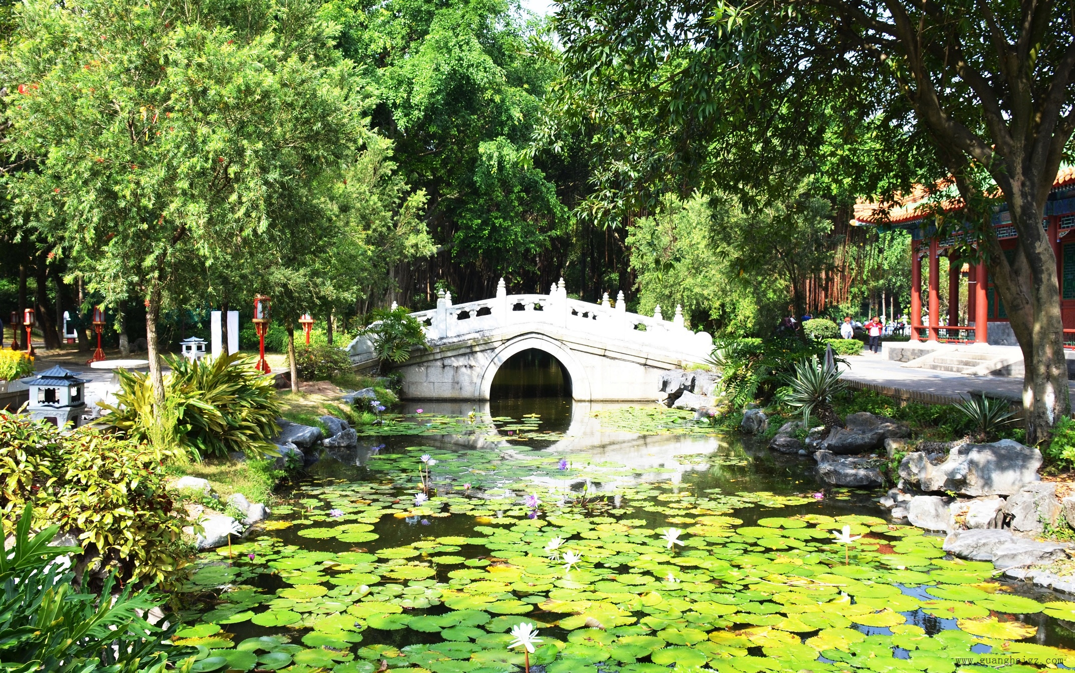 �ײ���-׷�󿵽�,����һ������