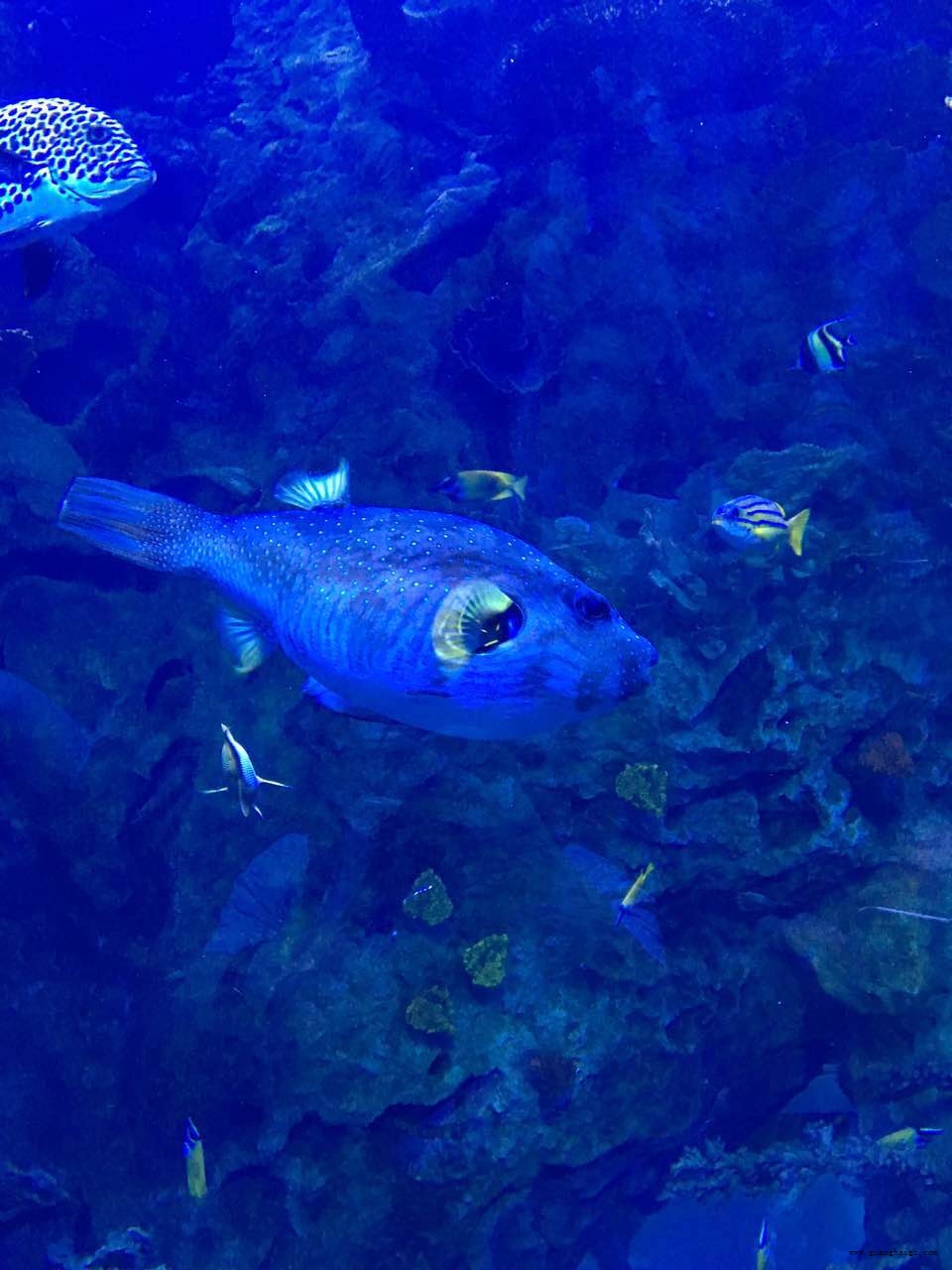 �ײ���-׷�󿵽�,����һ������