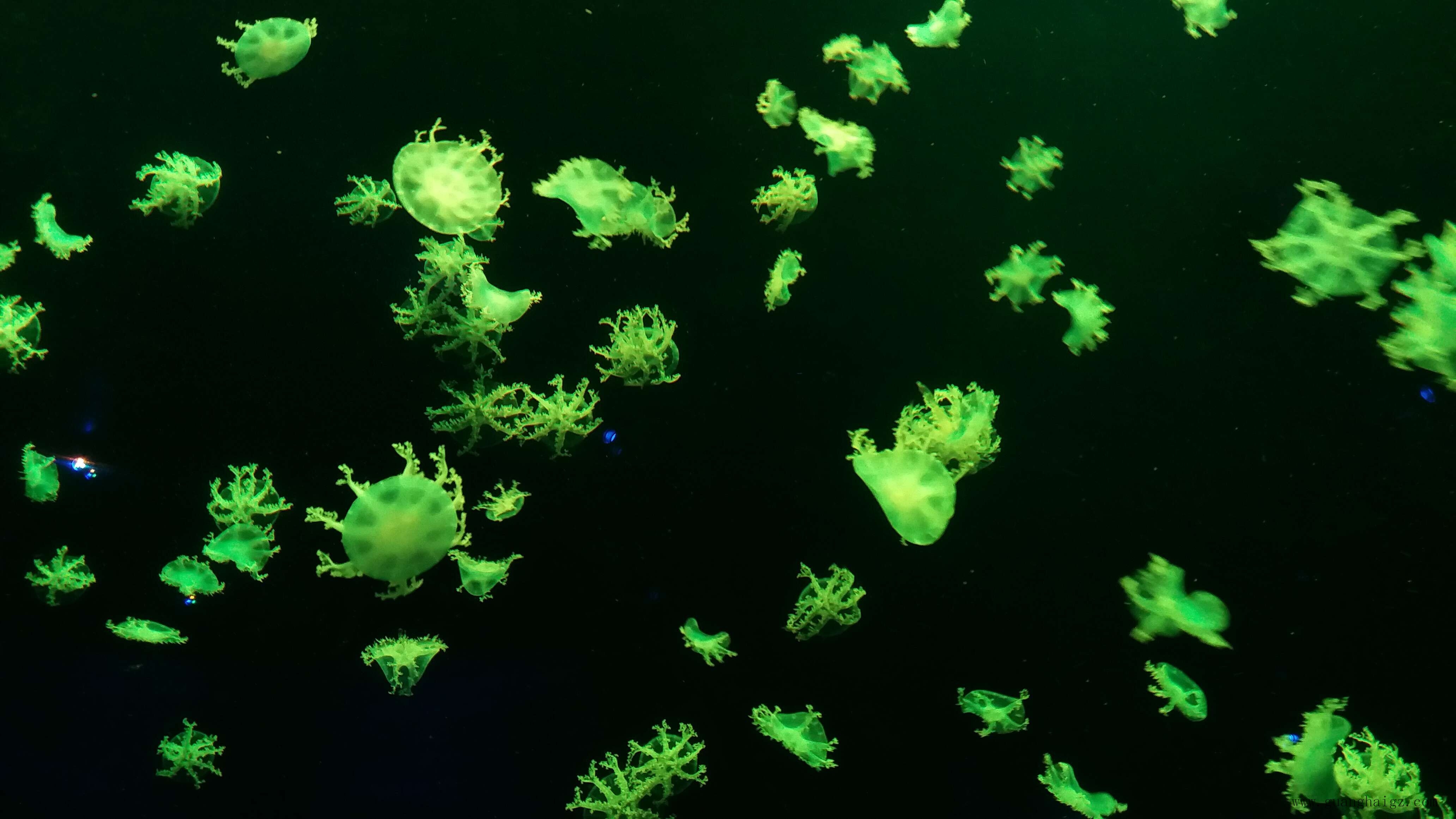 �ײ���-׷�󿵽�,����һ������